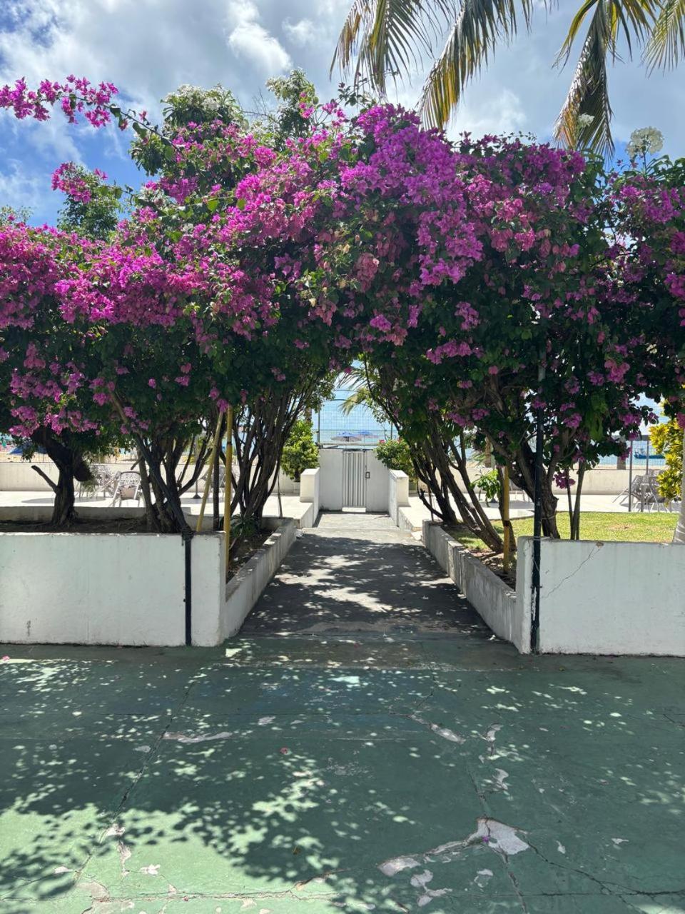 Apto 3 Quartos Pe Na Areia Prox De Recife Bagian luar foto
